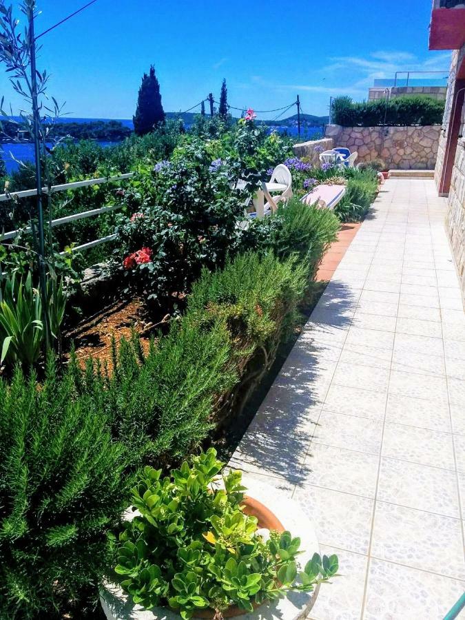 דוברובניק Apartments Anamaria מראה חיצוני תמונה